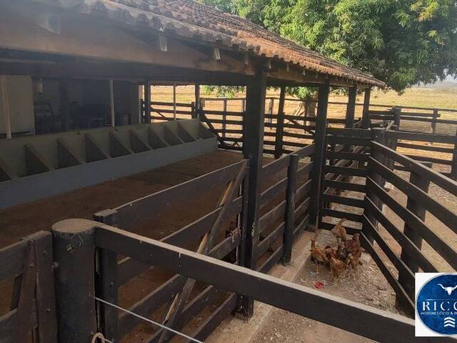 Chácara para Venda em Uruana - 5