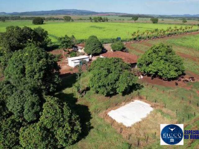 #3834 - Chácara para Venda em Uruana - GO