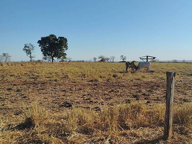 #3835 - Fazenda para Venda em Bom Jardim de Goiás - GO