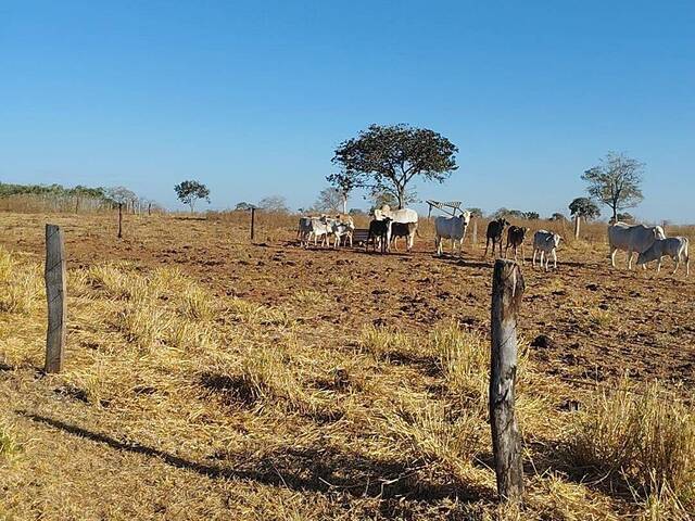 #3835 - Fazenda para Venda em Bom Jardim de Goiás - GO