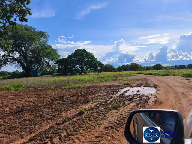#3836 - Fazenda para Venda em Formoso do Araguaia - TO
