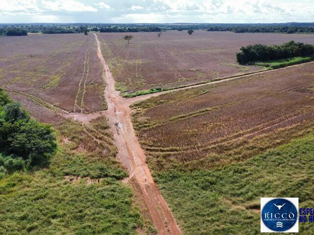Fazenda para Venda em Formoso do Araguaia - 5