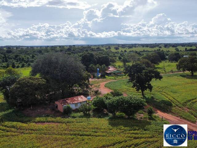 #3836 - Fazenda para Venda em Formoso do Araguaia - TO