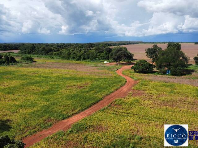 Fazenda para Venda em Formoso do Araguaia - 4
