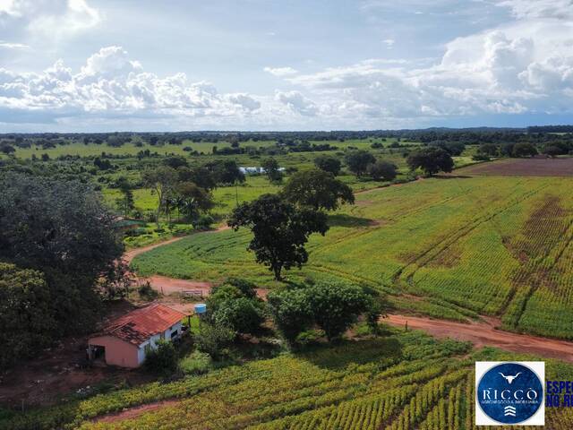 #3836 - Fazenda para Venda em Formoso do Araguaia - TO