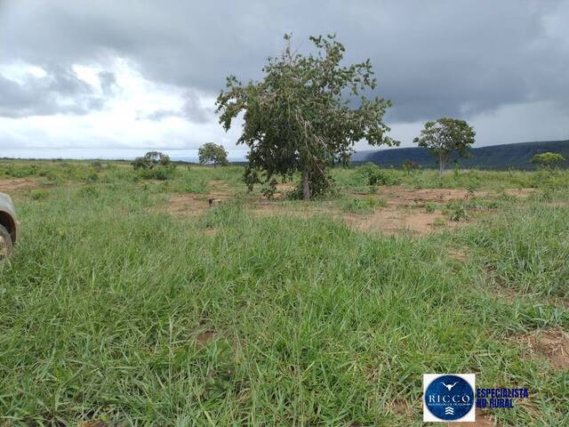 #3837 - Fazenda para Venda em Barra do Garças - MT