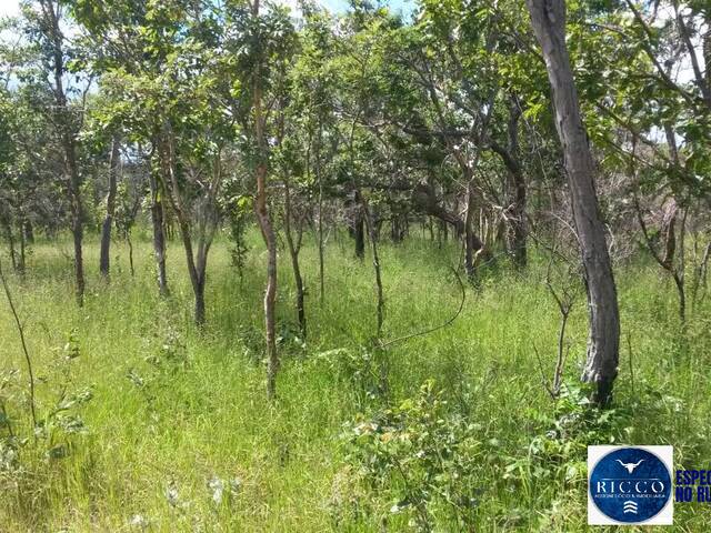 #3838 - Fazenda para Venda em Arraias - TO
