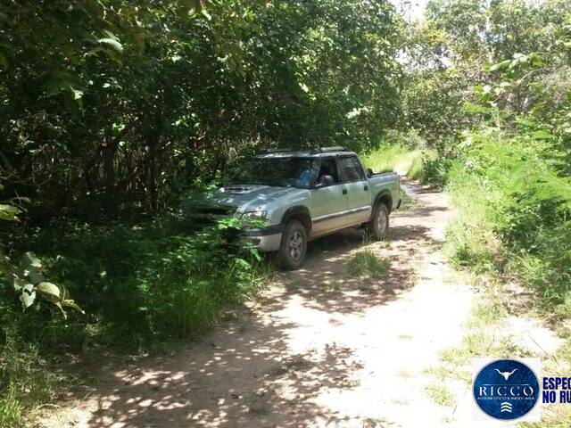 Fazenda para Venda em Arraias - 4
