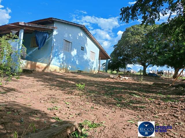 #3840 - Chácara para Venda em Sanclerlândia - GO