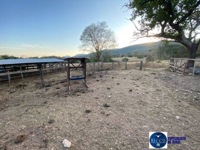 #3841 - Chácara para Venda em Córrego do Ouro - GO