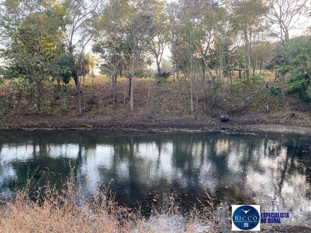 Venda em Setor Central - Córrego do Ouro