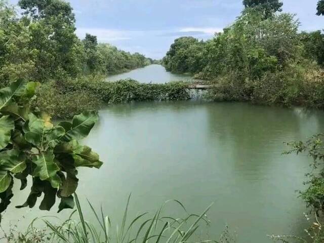 Venda em zona rural - Formoso do Araguaia