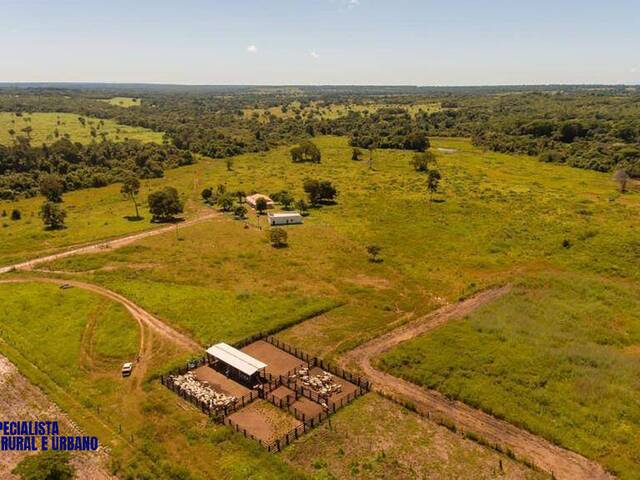 #3842 - Fazenda para Venda em São Miguel do Araguaia - GO