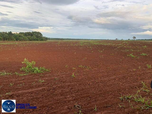 #3842 - Fazenda para Venda em São Miguel do Araguaia - GO