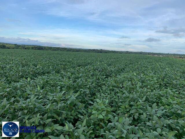 #3842 - Fazenda para Venda em São Miguel do Araguaia - GO