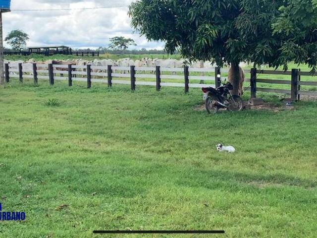 Fazenda para Venda em São Miguel do Araguaia - 5