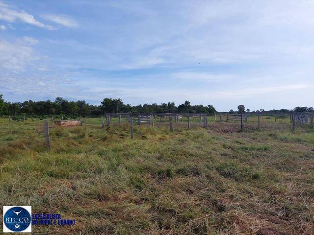 #3843 - Fazenda para Venda em Cocalinho - MT