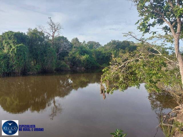 #3843 - Fazenda para Venda em Cocalinho - MT
