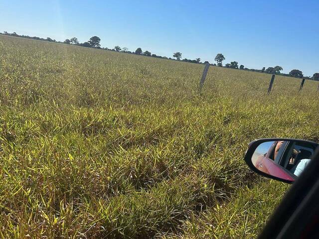 #3845 - Fazenda para Venda em Barra do Garças - MT