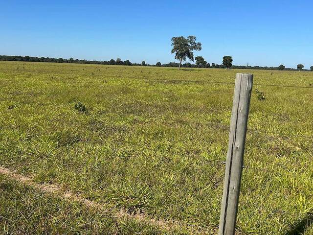 #3845 - Fazenda para Venda em Barra do Garças - MT