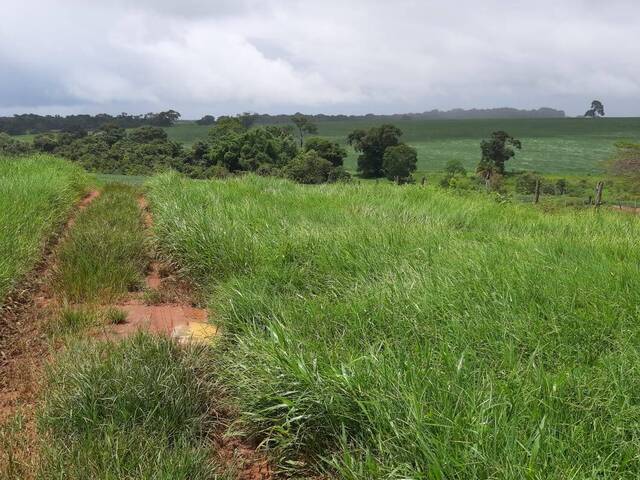 #3847 - Fazenda para Venda em Palmeiras de Goiás - GO