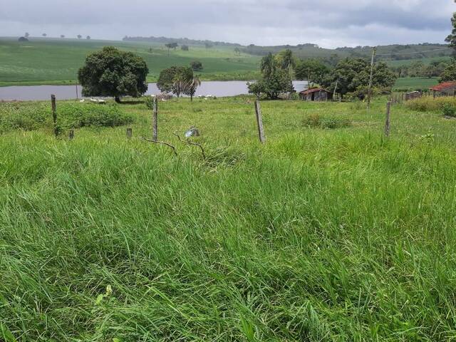 Venda em zona rural - Palmeiras de Goiás