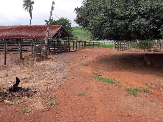 #3847 - Fazenda para Venda em Palmeiras de Goiás - GO