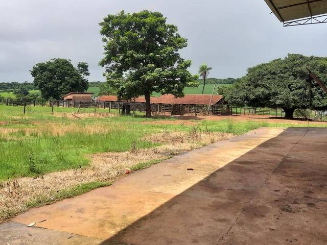 Fazenda para Venda em Palmeiras de Goiás - 5