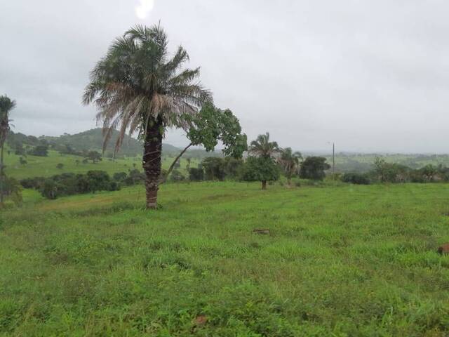 #3848 - Fazenda para Venda em Anicuns - GO