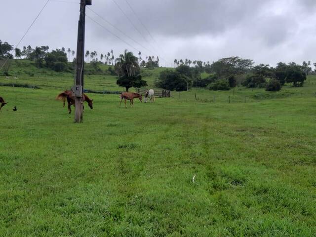 #3848 - Fazenda para Venda em Anicuns - GO