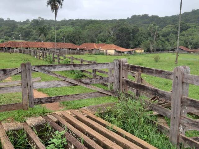 #3848 - Fazenda para Venda em Anicuns - GO
