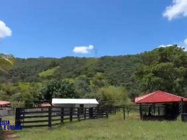 #3850 - Fazenda para Venda em Caldas Novas - GO