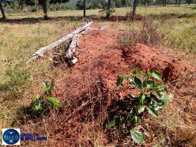 #3851 - Fazenda para Venda em Arenópolis - GO