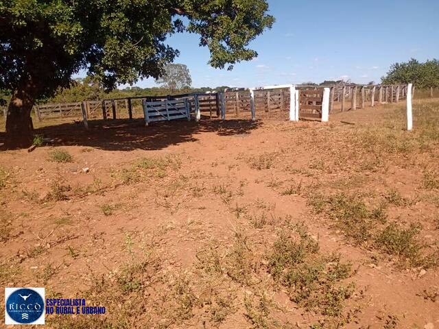 #3851 - Fazenda para Venda em Arenópolis - GO
