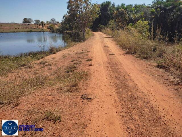 #3853 - Fazenda para Venda em Montes Claros de Goiás - GO
