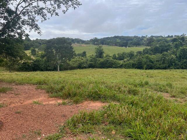 #3854 - Fazenda para Venda em Iporá - GO