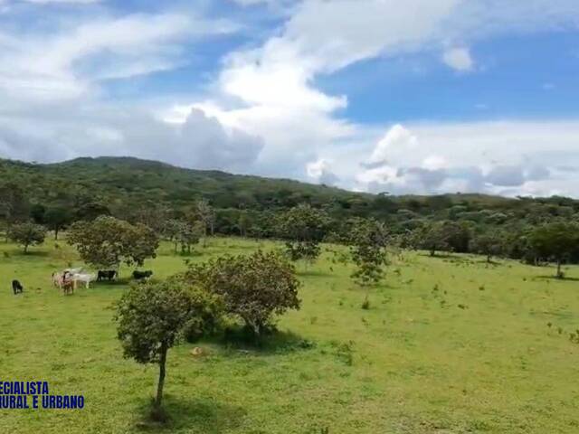 #3855 - Chácara para Venda em Pirenópolis - GO