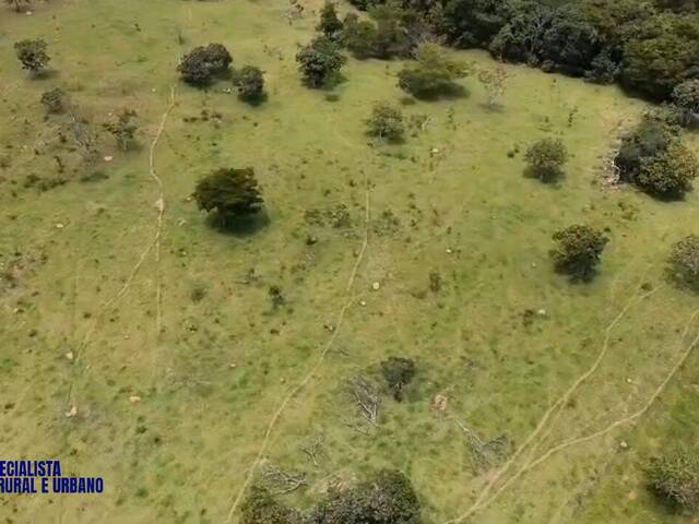 Chácara para Venda em Pirenópolis - 5