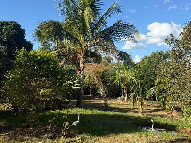 #3857 - Chácara para Venda em Caldazinha - GO