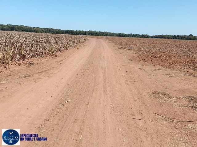 #3863 - Fazenda para Venda em Pedro Afonso - TO