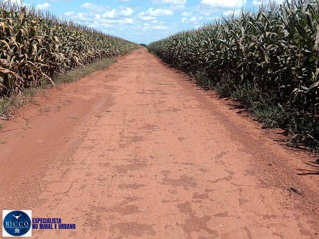 #3863 - Fazenda para Venda em Pedro Afonso - TO