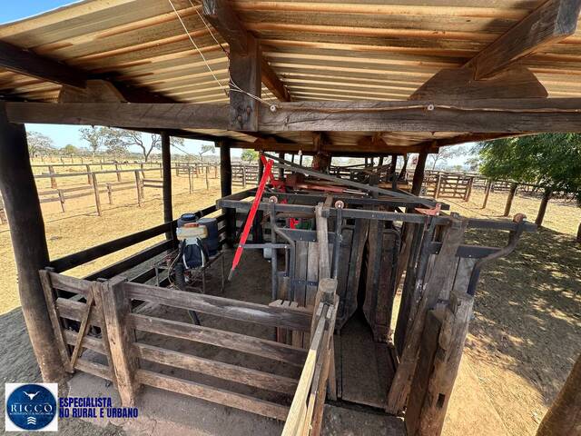 #3866 - Fazenda para Venda em Bom Jardim de Goiás - GO