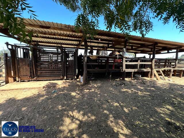 Fazenda para Venda em Bom Jardim de Goiás - 5