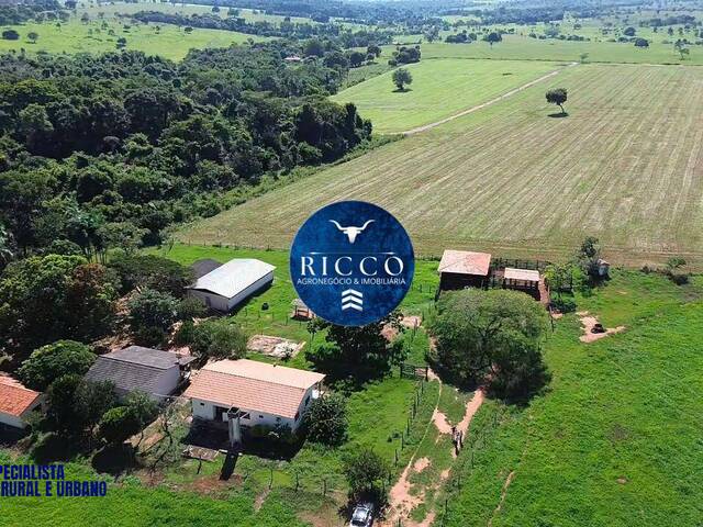 Venda em zona rural - Cezarina