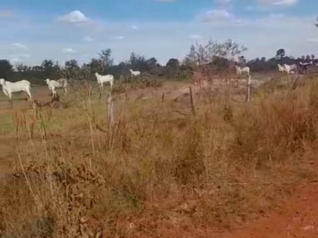 #3869 - Fazenda para Venda em Bom Jesus do Araguaia - MT