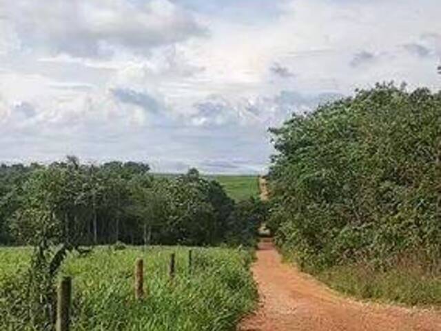 #3871 - Fazenda para Venda em Nova Crixás - GO