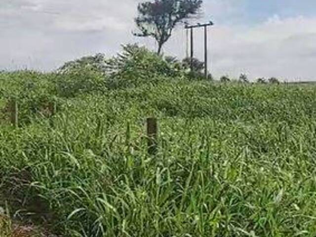 #3871 - Fazenda para Venda em Nova Crixás - GO