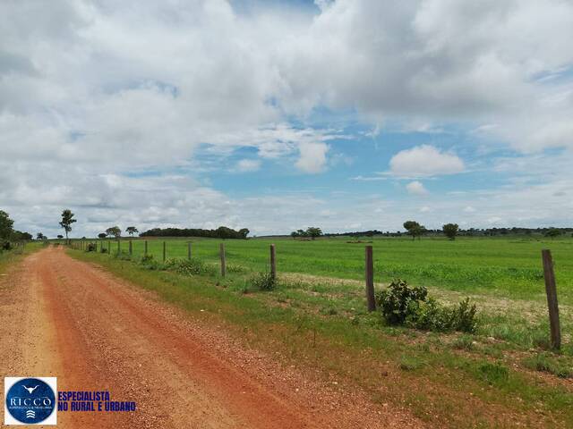 #3879 - Fazenda para Venda em Figueirópolis - TO