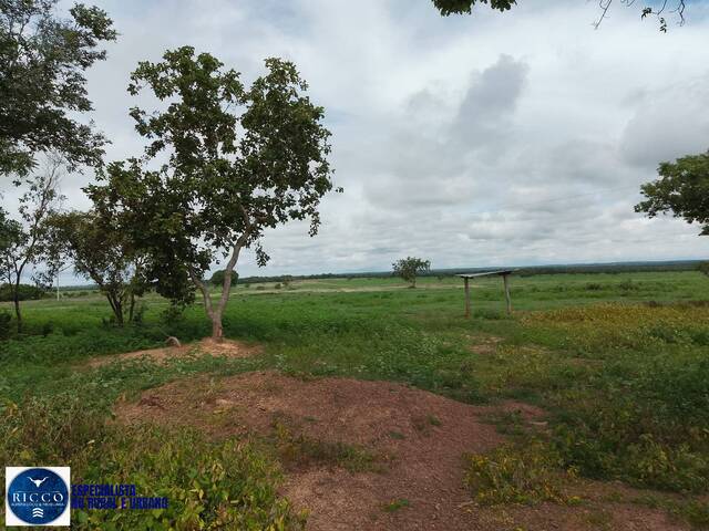 #3879 - Fazenda para Venda em Figueirópolis - TO