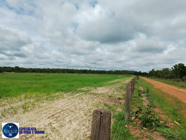 #3879 - Fazenda para Venda em Figueirópolis - TO